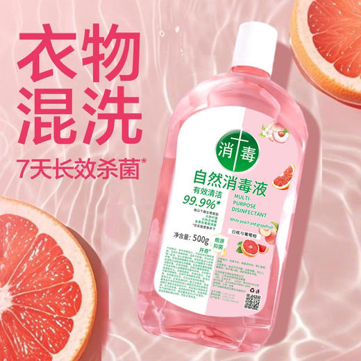 【超值❗️9.9抢2大瓶🔥香氛衣物消毒液】香氛消毒每一处 洁净家庭 混洗家纺温和儿童洗衣消毒水家用拖地洗衣 商品图0