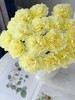 黄色单头康乃馨20枝 商品缩略图0