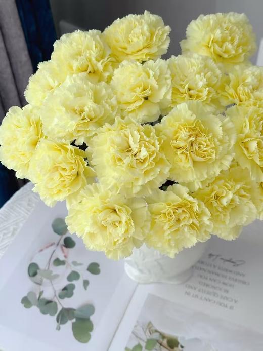 黄色单头康乃馨20枝 商品图0