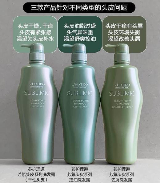 日本资生堂芯护理道芳氛头皮系列控油/去屑/保湿洗发露-1L/250ML 商品图1