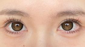 cocoflora半年抛美瞳 鹿鹿茶棕 14.5mm