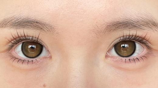 cocoflora半年抛美瞳 鹿鹿茶棕 14.5mm 商品图0