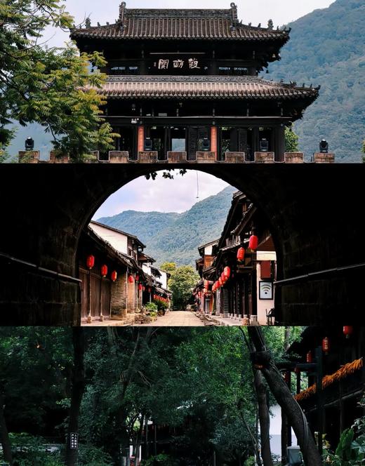 春假专场4.1-4.3【山野趣多多：剑门关+唐家河】3天2夜自然科普独立营：打卡剑门雄关、走进唐家河野生动物天堂，深入森林探寻濒危珍稀动物！跟踪足迹，测量采集动物踪迹，野外红外相机实践，对话高山向导！ 商品图8