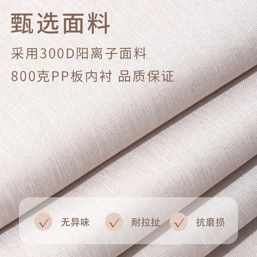 【阳离子收纳盒❗分类分区拿取方便】内衣收纳盒三合一内裤文胸袜子分隔整理盒衣服收纳箱抽屉式。rh 商品图3