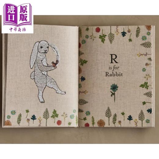 预售 【中商原版】ABC: An Animal Alphabet Adventure 进口艺术 ABC：动物字母冒险 Rizzoli 商品图2