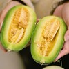 【蜜七七羊角蜜】蜜瓜小甜瓜水果 商品缩略图0