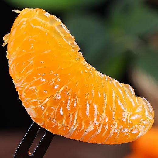 不知火丑橘【5斤29元】丨汁多味美 肉嫩爽口 商品图2