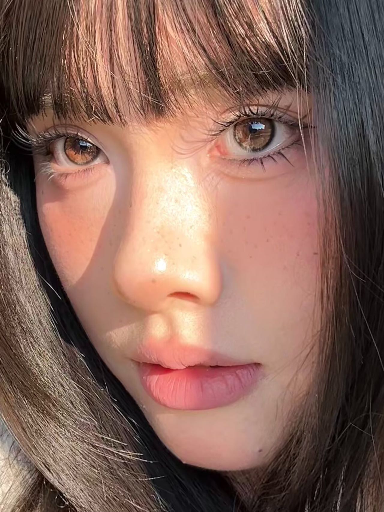 recolook  半年抛 原生棕 直径14.5mm