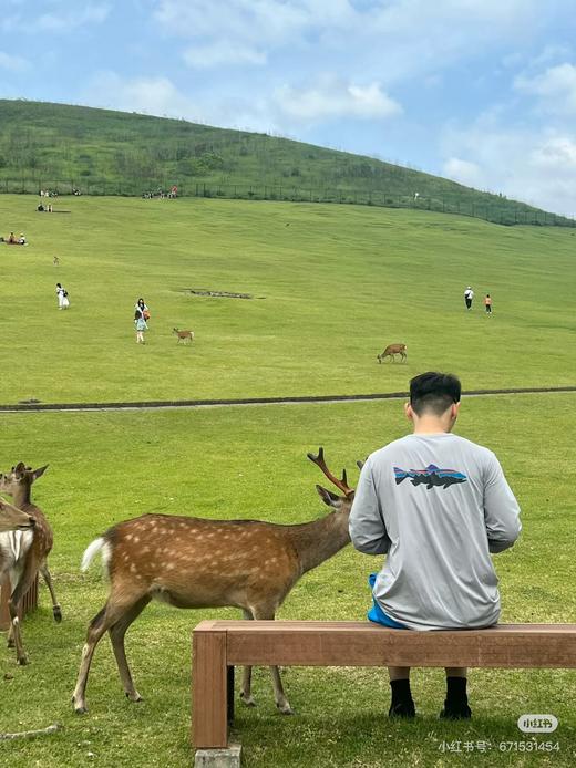 N530 八塔Pata C1鱼标印花速干长袖 CX254 商品图2