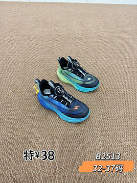 七波辉双网2513  32-37码