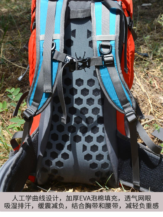 杉木山装新款双肩包爬山背包40升户外徒步背包轻便大容量+防雨罩TBZG 商品图2