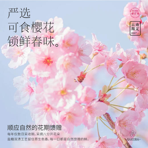 【嘉华鲜花饼】樱花鲜花饼系列  多款可选 商品图5