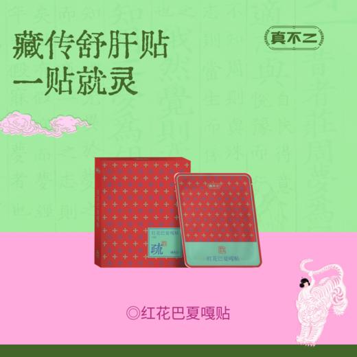 【真不二】新品红花巴夏嘎贴护肝贴藏药膏药贴（20贴/盒） 商品图0