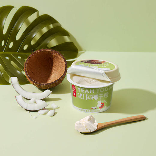 【顺丰】乐纯 干噎奶酪（原味/椰子）100g*6 商品图5