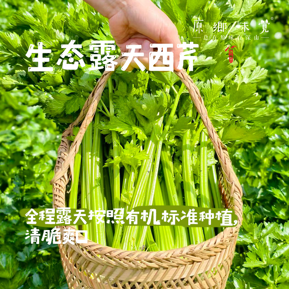 生态露天西芹【农场直发-顺丰包邮】| 3斤，5斤/箱，成都郫都区基地，【原乡农场，自产自销】