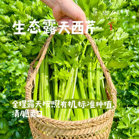 生态露天西芹【农场直发-顺丰包邮】| 3斤，5斤/箱，成都郫都区基地，【原乡农场，自产自销】