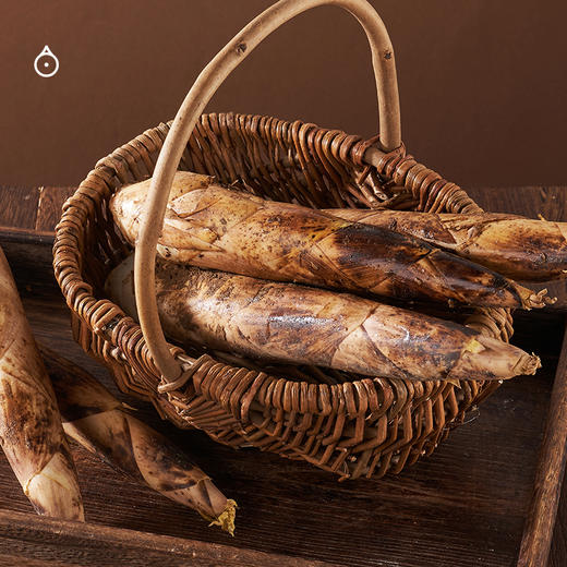 企鹅市集|浙江奉化 有机春笋雷笋 山林鲜美滋味 现挖现发 商品图6