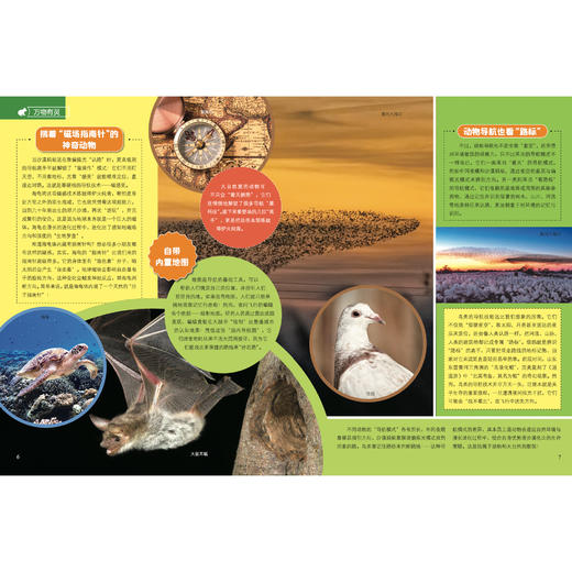 《大英百科少儿探索杂志：动动画世界》12期征订 商品图7