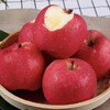 马栏红红苹果80-85cm 商品缩略图5