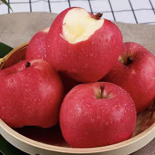 马栏红红苹果80-85cm 商品图5