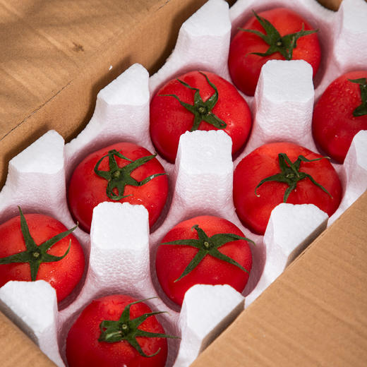 陕西普罗旺斯西红柿 净重4-4.5斤小中大果 商品图6