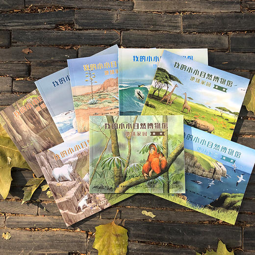 我的小小自然博物馆 全24册 地球家园 动物朋友 生命奇迹3-6岁文学自然科普书 自然知识 丰富孩子知识面 趣味百科动物绘本大班阅读 商品图2
