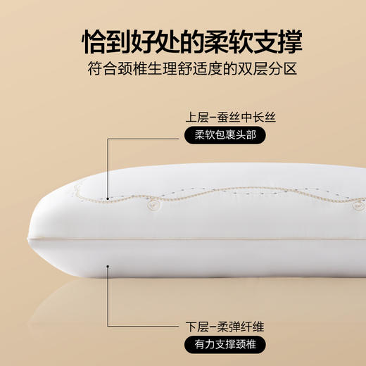 水星家纺丨星·丽尔蚕丝纤丝对枕 商品图2