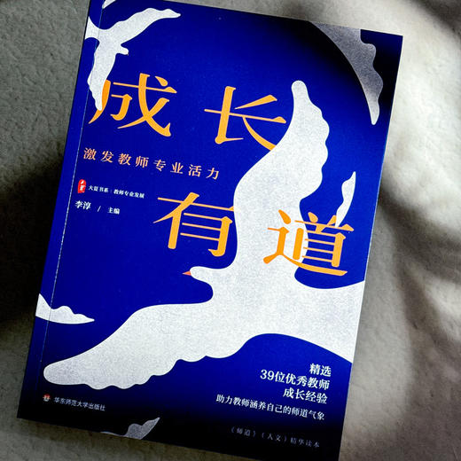成长有道 激发教师专业活力 大夏书系 李淳 教师专业发展 商品图4
