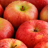 京鲜生 新疆阿克苏苹果 净重9斤 果径80-85mm 生鲜水果 商品缩略图5