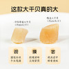 绿帝干贝300g/罐 瑶柱 扇贝肉  手工贝 海产干货 商品缩略图4