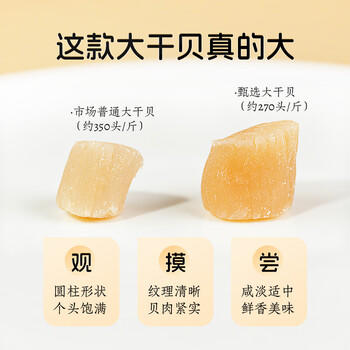 绿帝干贝300g/罐 瑶柱 扇贝肉  手工贝 海产干货 商品图4