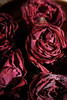 2026头茬墨红冻干玫瑰提前来啦~ 商品缩略图0