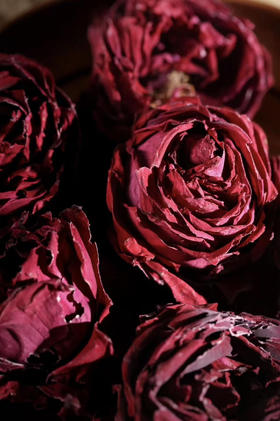 2026头茬墨红冻干玫瑰提前来啦~