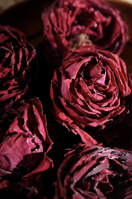 2026头茬墨红冻干玫瑰提前来啦~ 商品图0