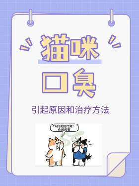 😺猫咪口臭别大意！原因+解决方法全科普