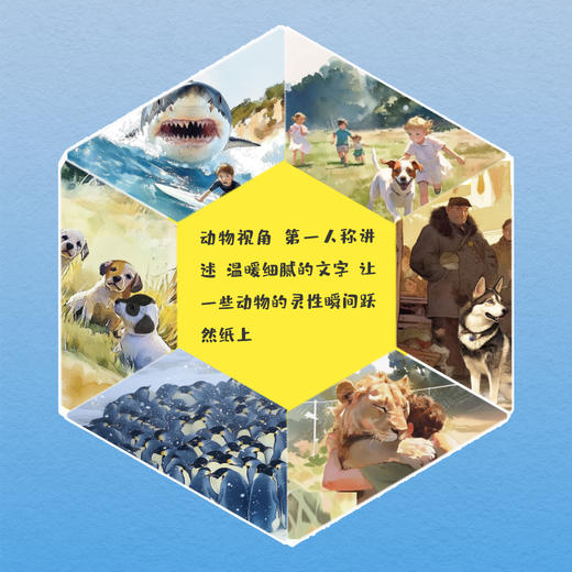 【精装】万物有灵 商品图3