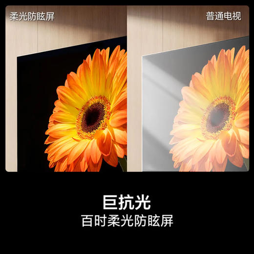 海信（Hisense）电视 100E3Q Pro 商品图11