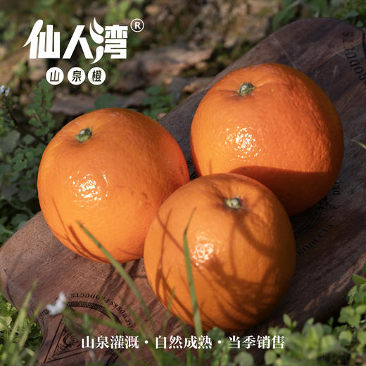 仙人湾山泉橙 商品图0