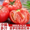 普罗旺斯西红柿（发京东）#果肉绵密起沙，一咬就爆汁，不硬不柴、正宗品种，现摘现发 商品缩略图0