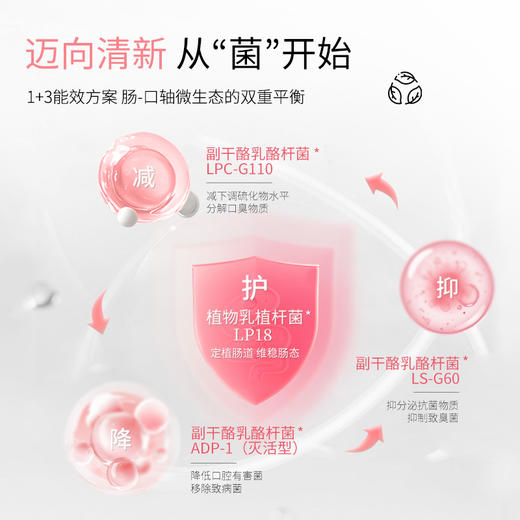 口香益生菌微泡片压片糖果（白桃乌龙味）（0.85gx21片/瓶） 商品图2