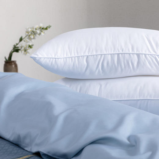 水星家纺丨负离子净享抗菌舒睡枕（单个装） 商品图2