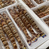 & 深海超大斑节虾🦐虾青素含量极高，爆满的虾肉，入口Q弹带有很浓的鲜虾味～活冻 商品缩略图0