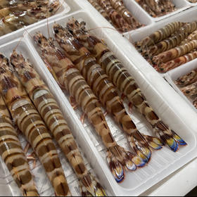 & 深海超大斑节虾🦐虾青素含量极高，爆满的虾肉，入口Q弹带有很浓的鲜虾味～活冻