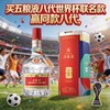五粮液 普五八代 世界杯联名款 浓香型白酒 52度 500mL*6瓶 整箱装 -JY 商品缩略图1