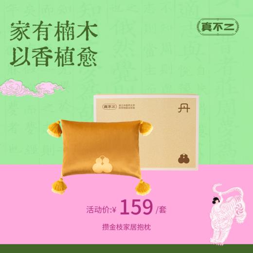 【真不二】攒金枝家居抱枕腰靠居家车载办公大号香囊枕送礼好物 商品图0