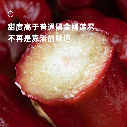 企鹅市集|海南三亚 蜜风铃莲雾 清甜爽脆多汁 生态种植 人工精选采摘 商品图4