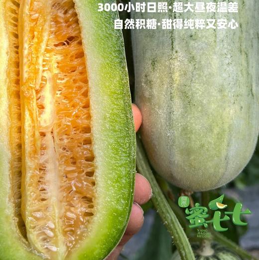 【蜜七七羊角蜜】蜜瓜小甜瓜水果 商品图4