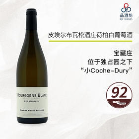 2019 Pierre Boisson Les Herbeux Bourgogne Blanc 皮埃尔布瓦松酒庄荷柏白葡萄酒 2019