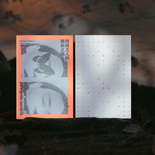【刷边/普版任选】阴郁之人的晴朗之地 商品图6
