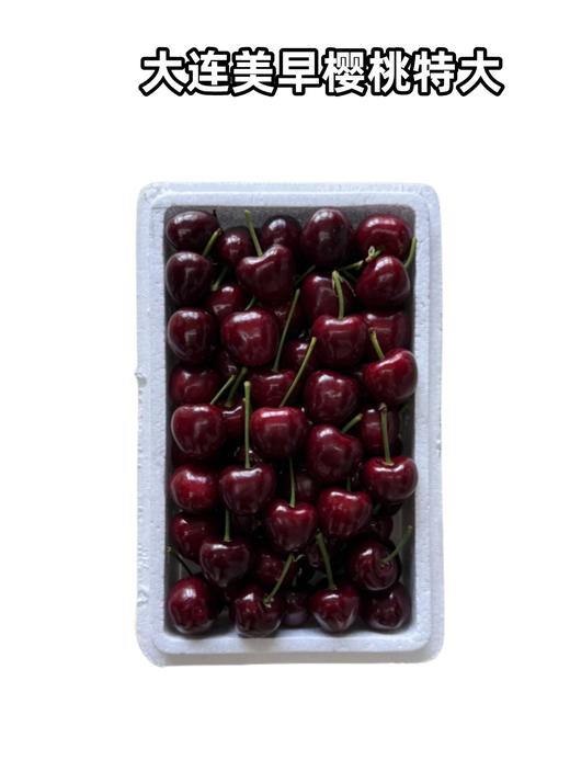 大连美早樱桃特大     去箱毛重1.5斤上下 商品图0